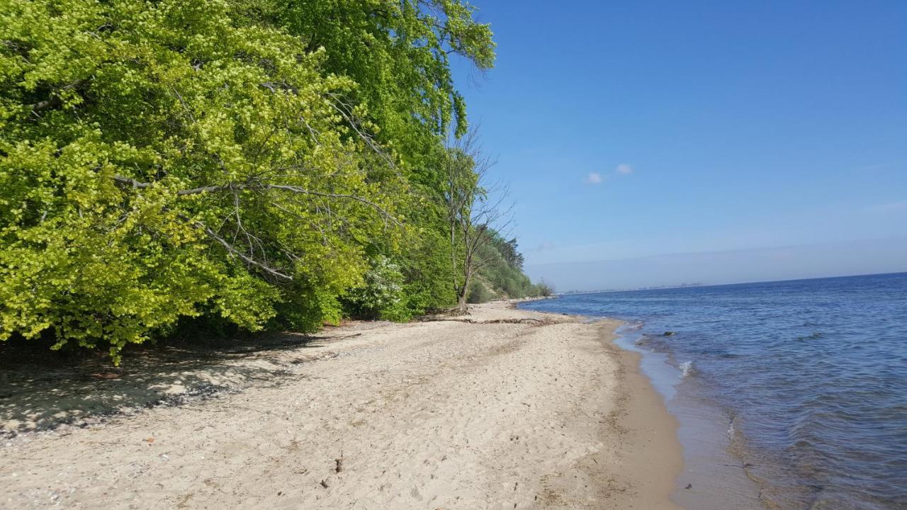 Gdynia-Sea Shell Idealny Dla Pary I Rodziny - Z Parkingiem,Blisko Plazy I Centrum エクステリア 写真